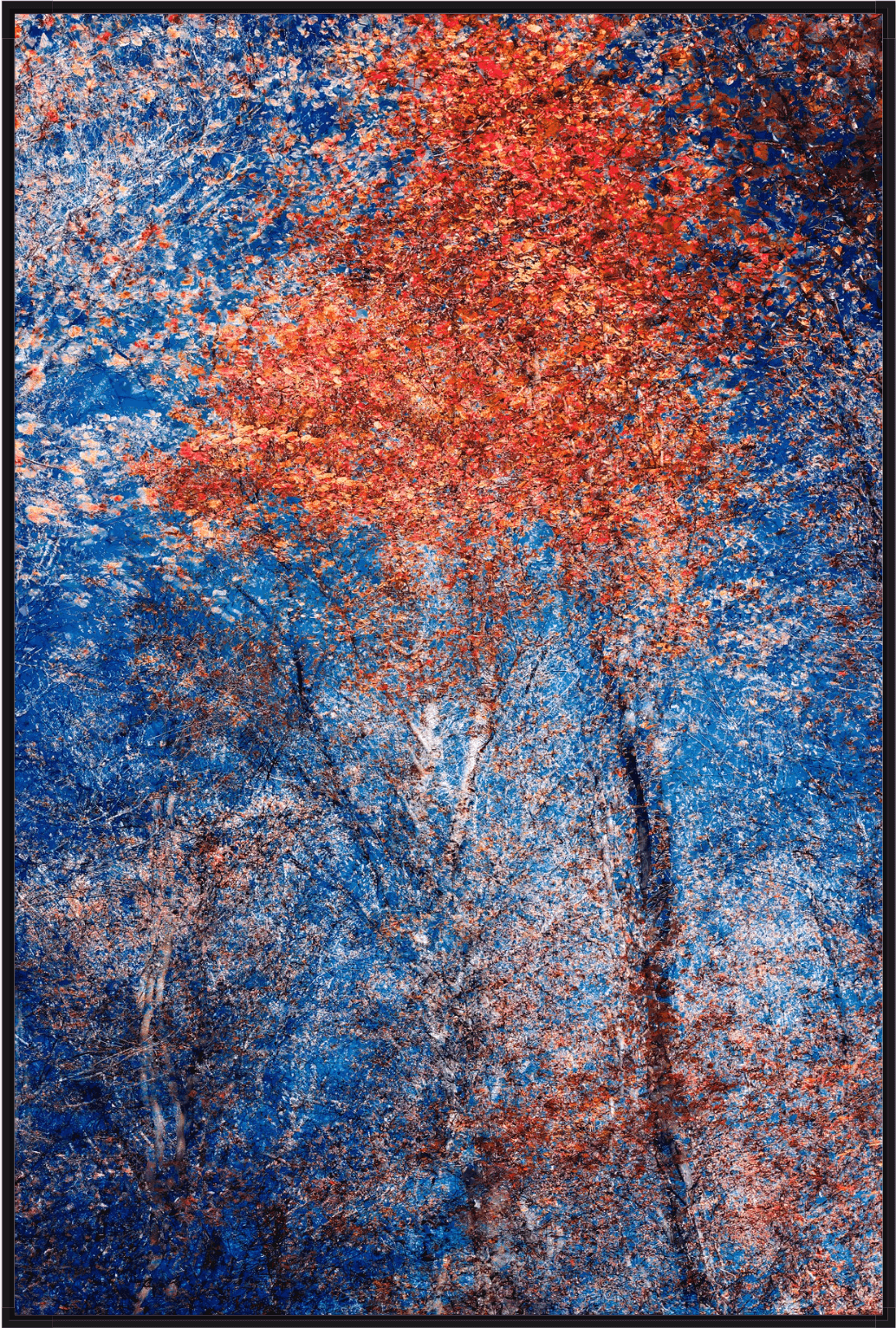 Phantom Structures: Energy of Light and Color #2